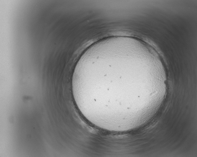 X0000080160433200612302157