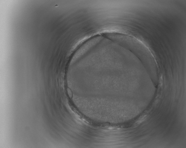 X0000080160434200612302157