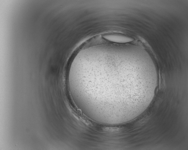 X0000080160435200612302157