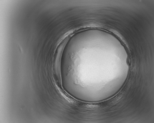 X0000080160437200612302157