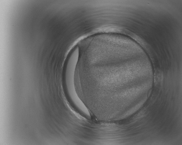 X0000080160438200612302157