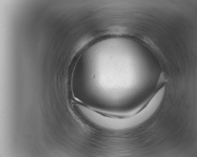 X0000080160440200612302157