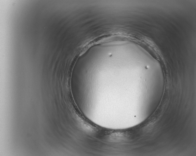 X0000080160441200612302157