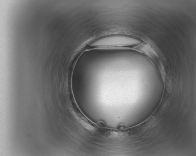 X0000080160442200612302157