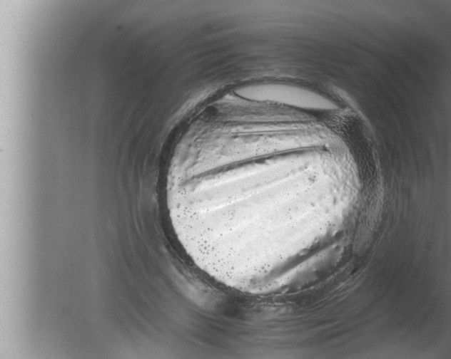 X0000080160443200612302157