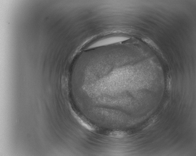 X0000080160444200612302157