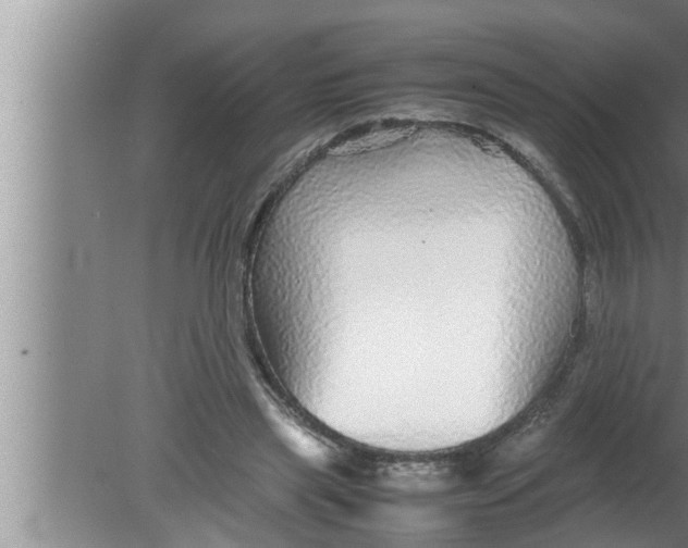 X0000080160445200612302157