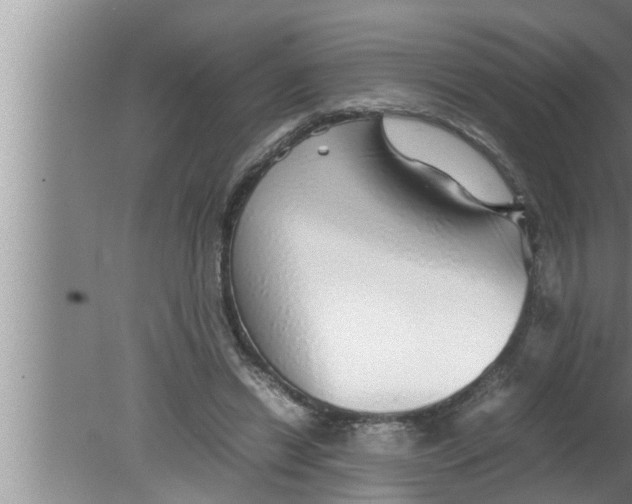 X0000080160446200612302158