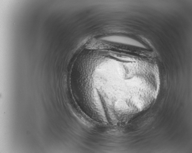 X0000080160447200612302158