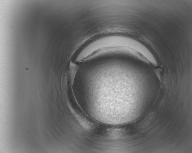 X0000080160448200612302158