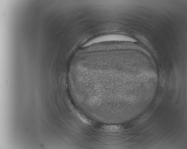 X0000080160449200612302158