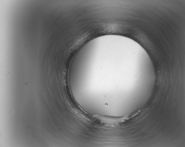 X0000080160450200612302158