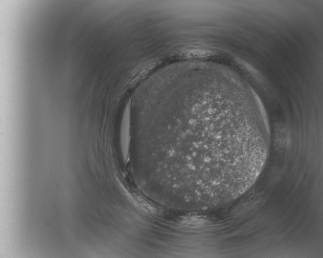 X0000080160451200612302158