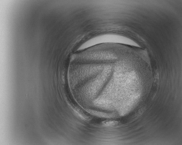 X0000080160452200612302158