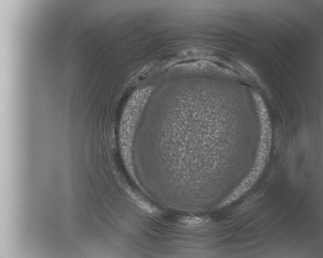 X0000080160453200612302158