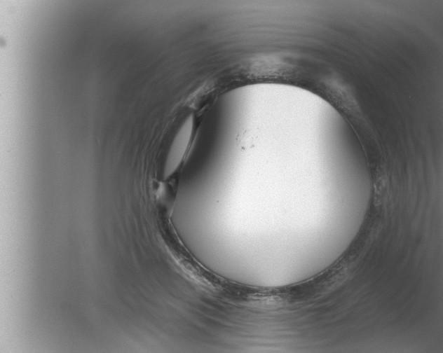 X0000080160454200612302158