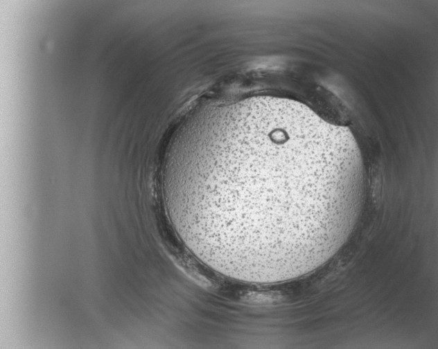 X0000080160455200612302158