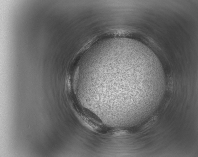 X0000080160456200612302158