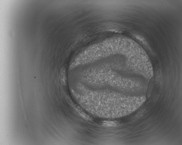 X0000080160457200612302158