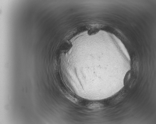 X0000080160459200612302158