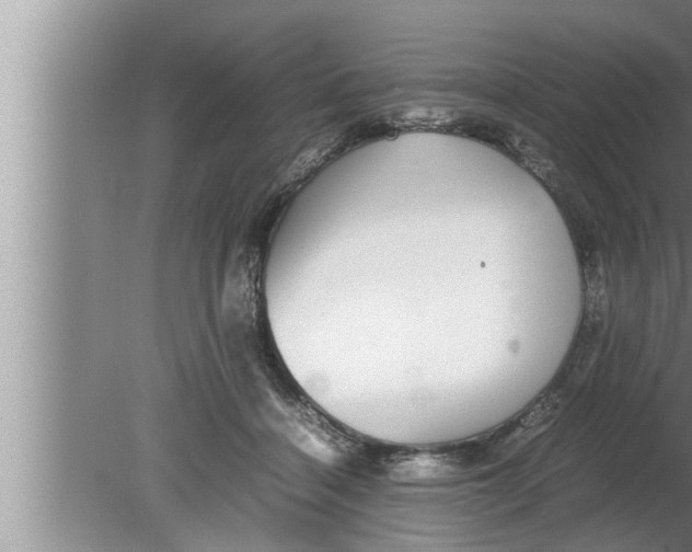 X0000080160460200612302158