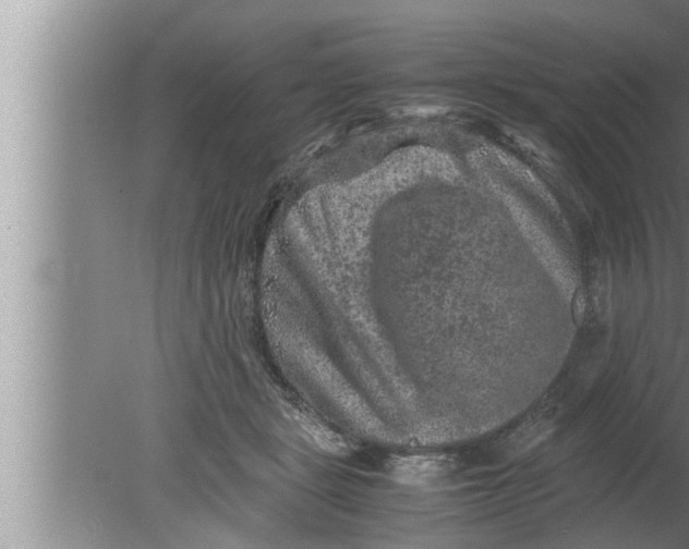 X0000080160461200612302158