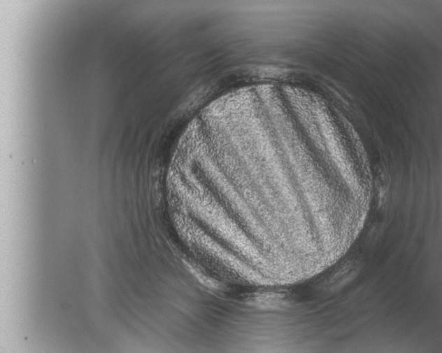 X0000080160462200612302158