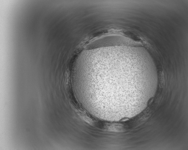 X0000080160463200612302158