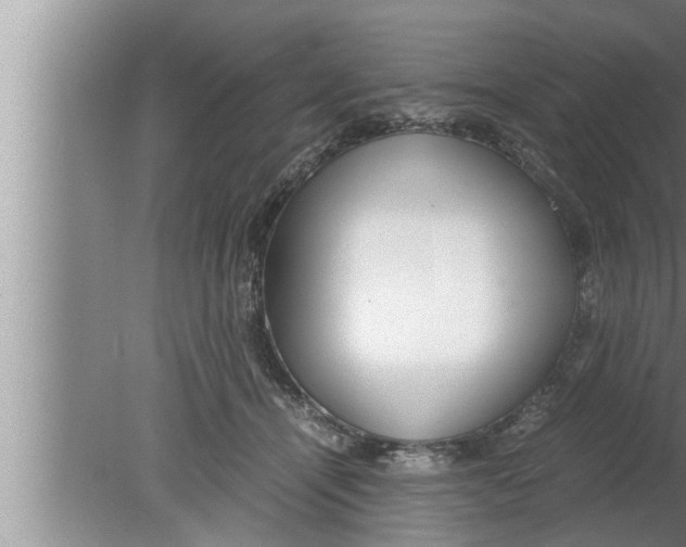 X0000080160464200612302158