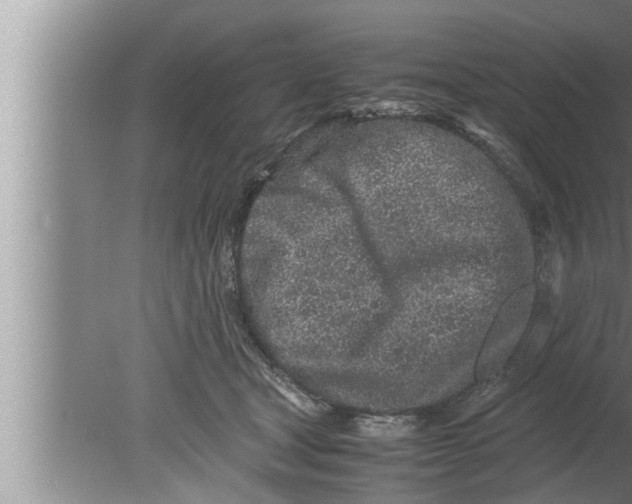 X0000080160465200612302158