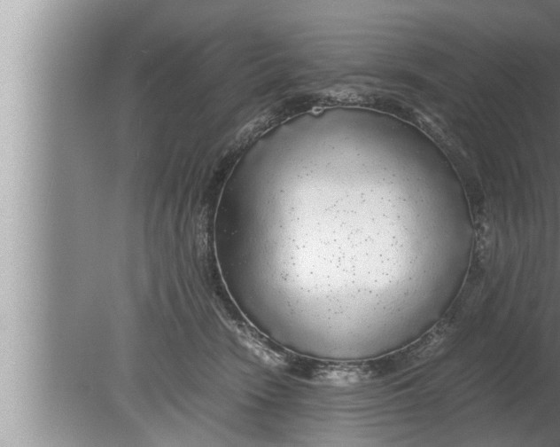 X0000080160466200612302158