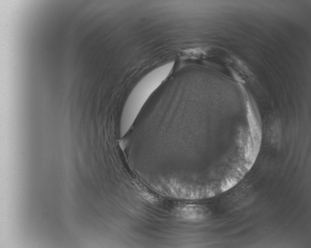 X0000080160467200612302158