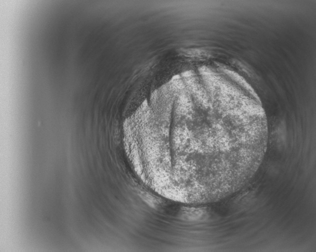 X0000080160469200612302158