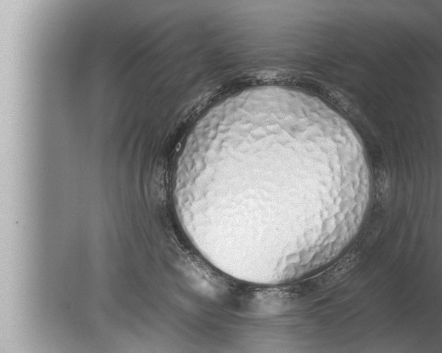 X0000080160470200612302158