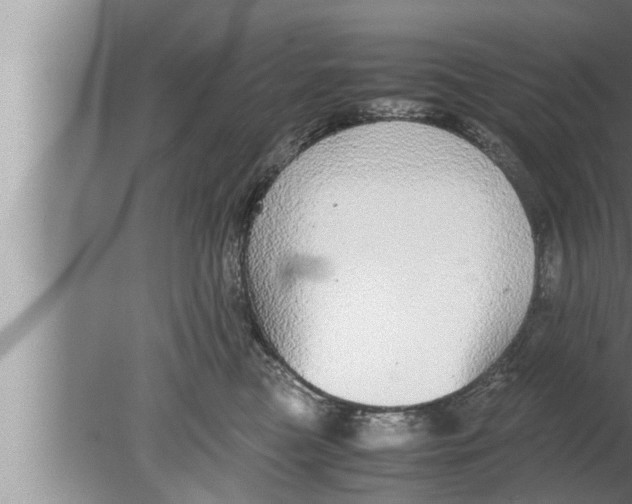 X0000080160473200612302158