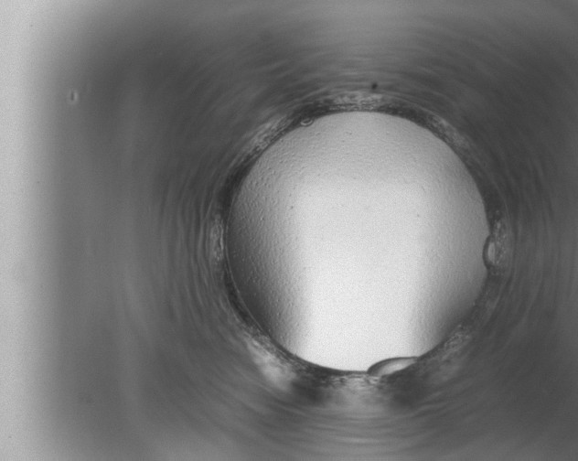 X0000080160474200612302158