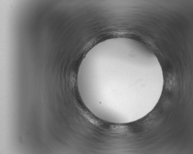 X0000080160476200612302158