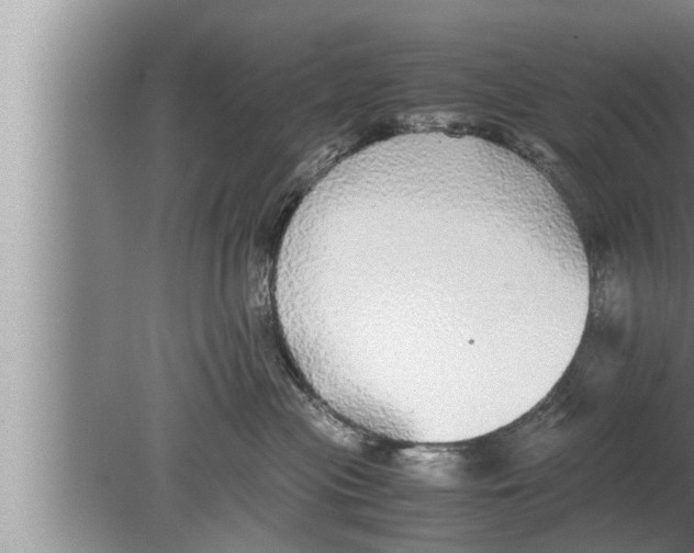 X0000080160477200612302158