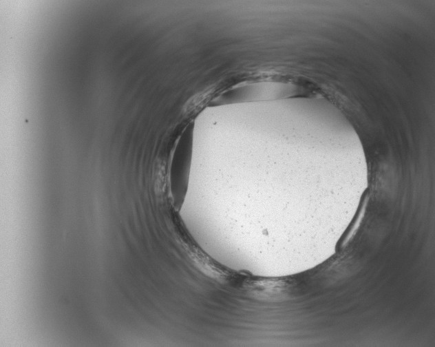 X0000080160478200612302158