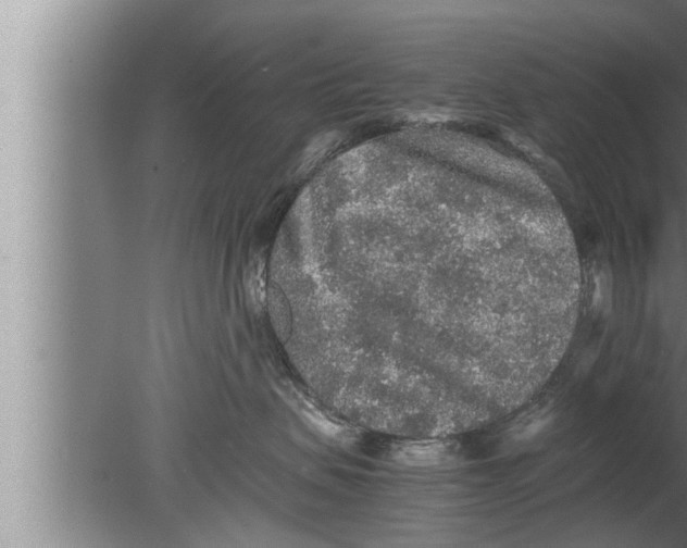 X0000080160479200612302158