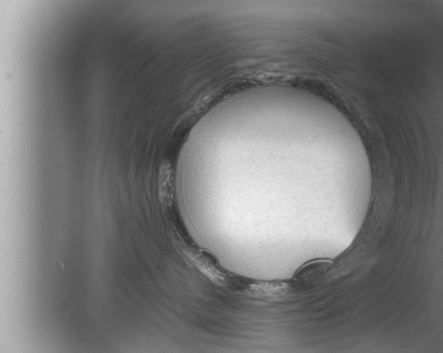 X0000080160480200612302158