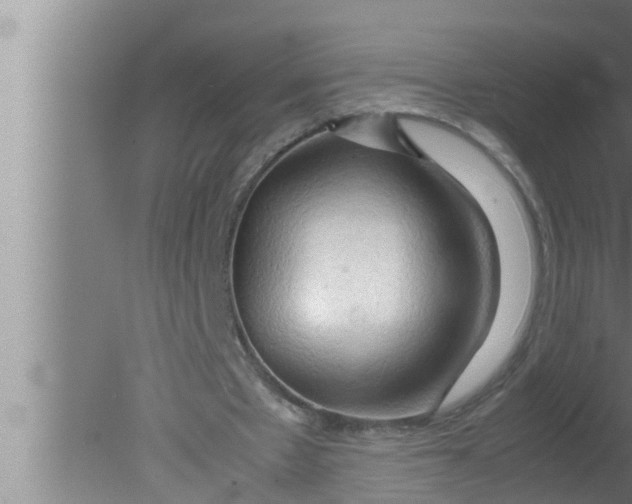 X0000080160481200612302157