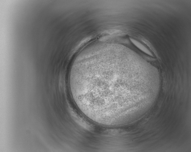 X0000080160482200612302157