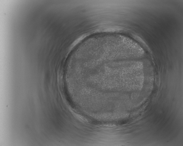 X0000080160483200612302157