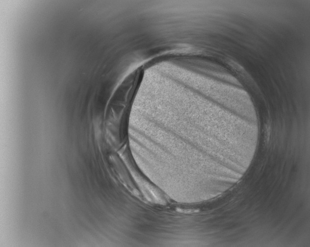 X0000080160484200612302157