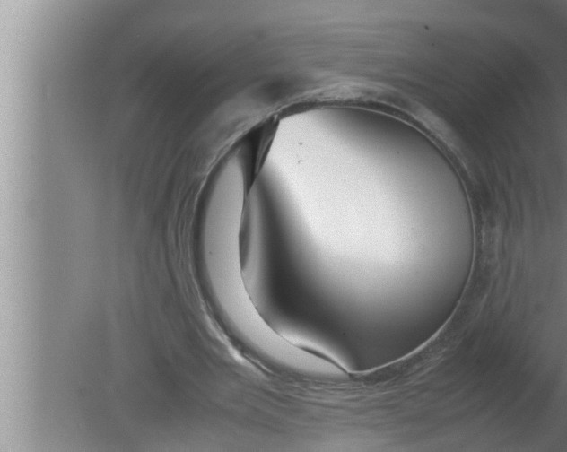 X0000080160485200612302157