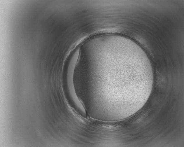 X0000080160486200612302157