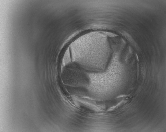 X0000080160488200612302157