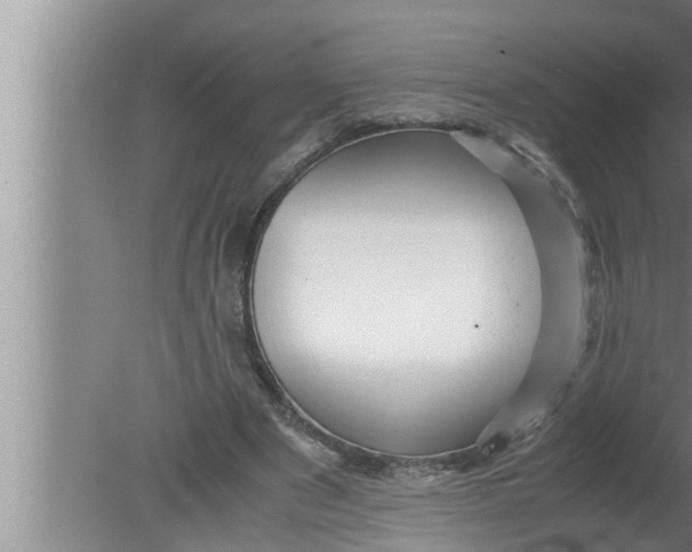 X0000080160489200612302157