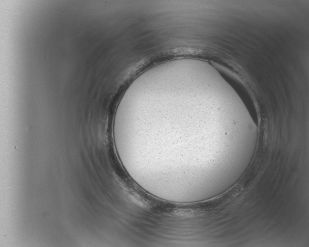 X0000080160490200612302157